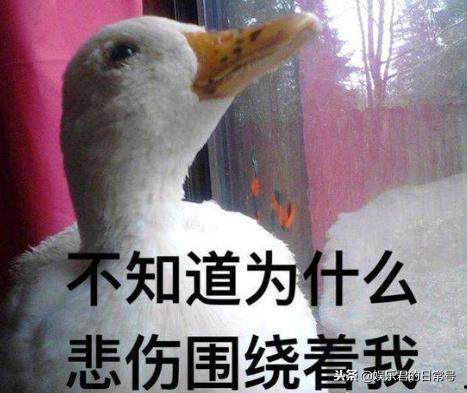 娱乐吃瓜酱鸭鸭,揭秘娱乐圈那些鲜为人知的幕后故事